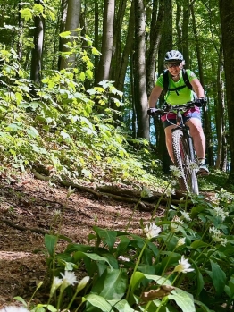 Lady Bike Day